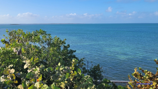 Key West2025-02-12_181