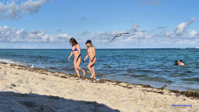 MiamiBeach2025-02-10_049