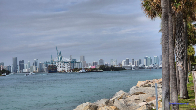 MiamiBeach2025-02-17_137