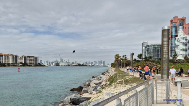 MiamiBeach2025-02-17_142