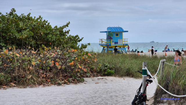 MiamiBeach2025-02-17_174