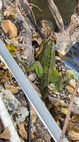 MiamiBeach2025-02-17_192