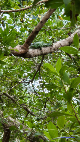 MiamiBeach2025-02-17_193