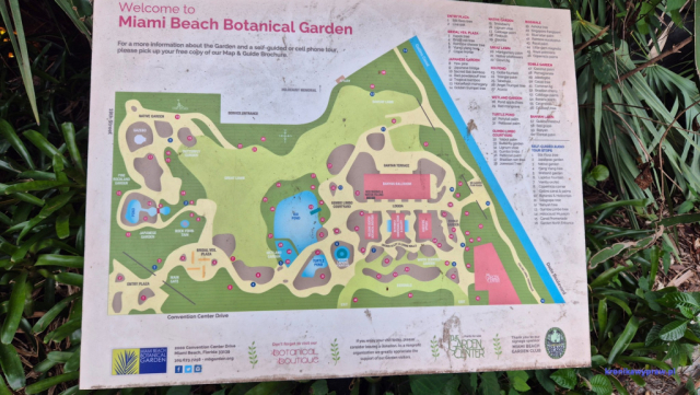 MiamiBeach2025-02-18_208