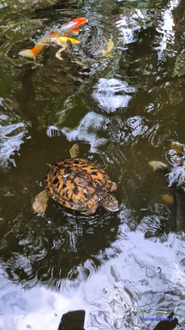 MiamiBeach2025-02-18_211