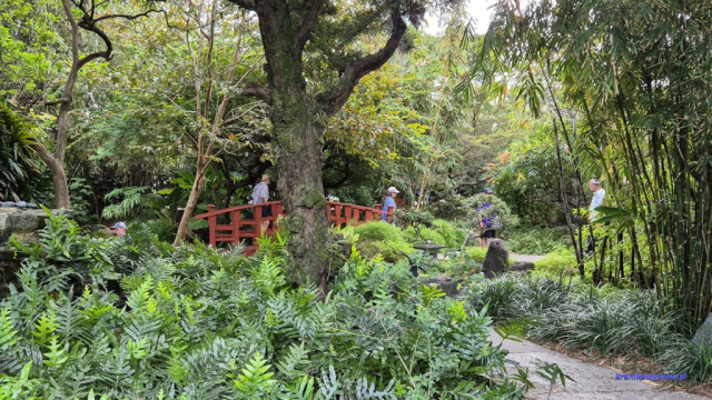 MiamiBeach2025-02-18_214