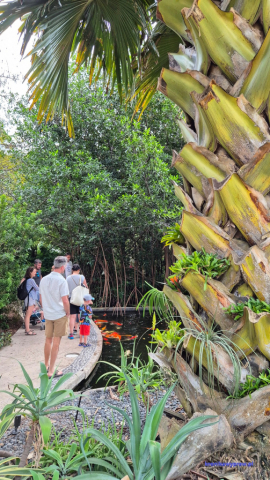 MiamiBeach2025-02-18_219