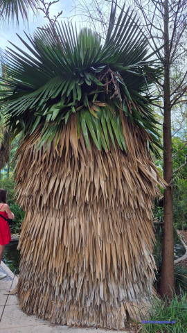 MiamiBeach2025-02-18_221