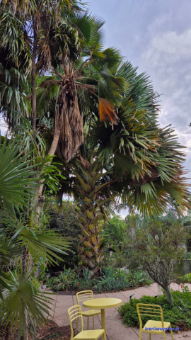 MiamiBeach2025-02-18_223