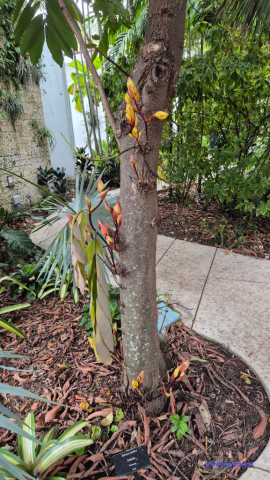 MiamiBeach2025-02-18_225