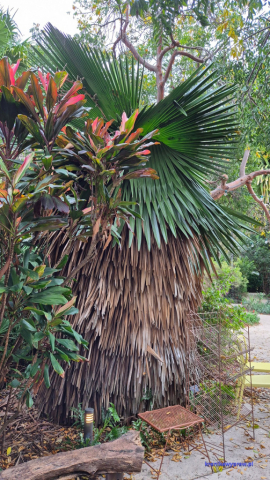 MiamiBeach2025-02-18_226