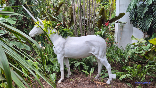 MiamiBeach2025-02-18_230