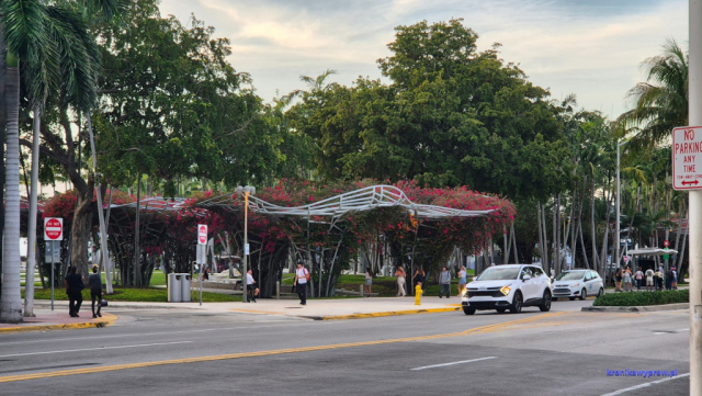 MiamiBeach2025-02-19_245