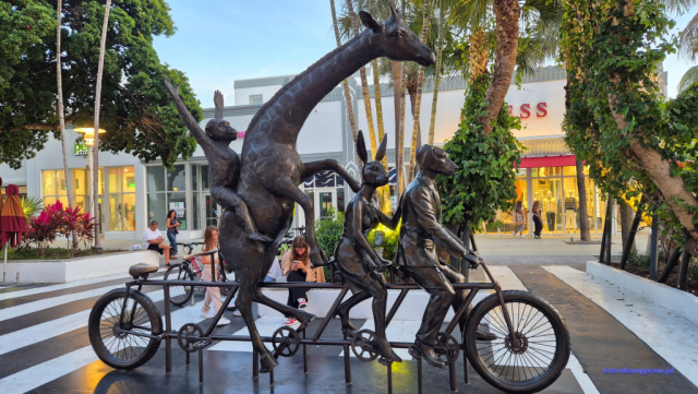 MiamiBeach2025-02-19_255