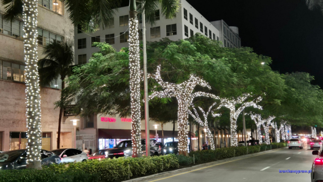 MiamiBeach2025-02-19_260