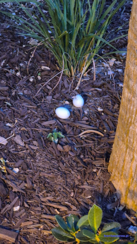 MiamiBeach2025-02-22_290