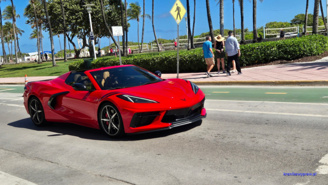 MiamiBeach20250214_121249