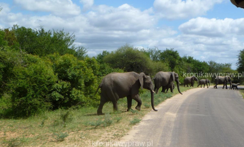 D05_Park_Krugera0119a